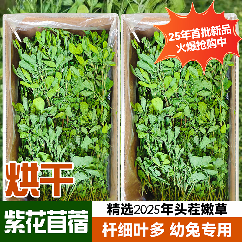 烘干紫花苜蓿草幼兔专用牧草龙猫豚鼠荷兰猪粮食兔子食用干草兔草