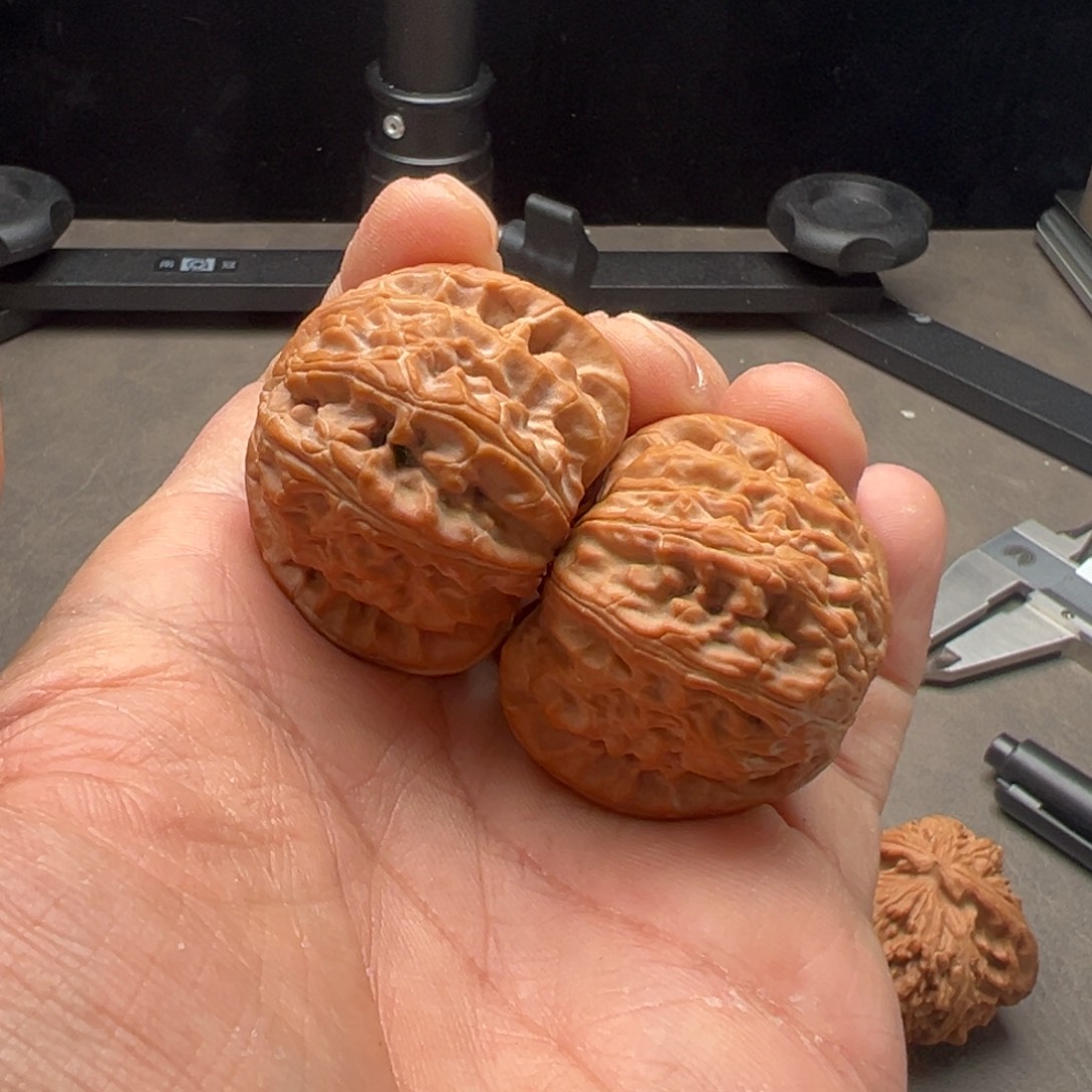 把件文玩核桃白狮子41