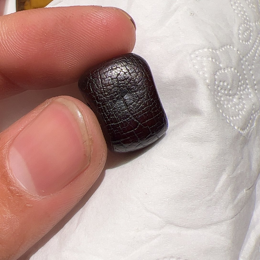 香榧木南***木在这里的时候