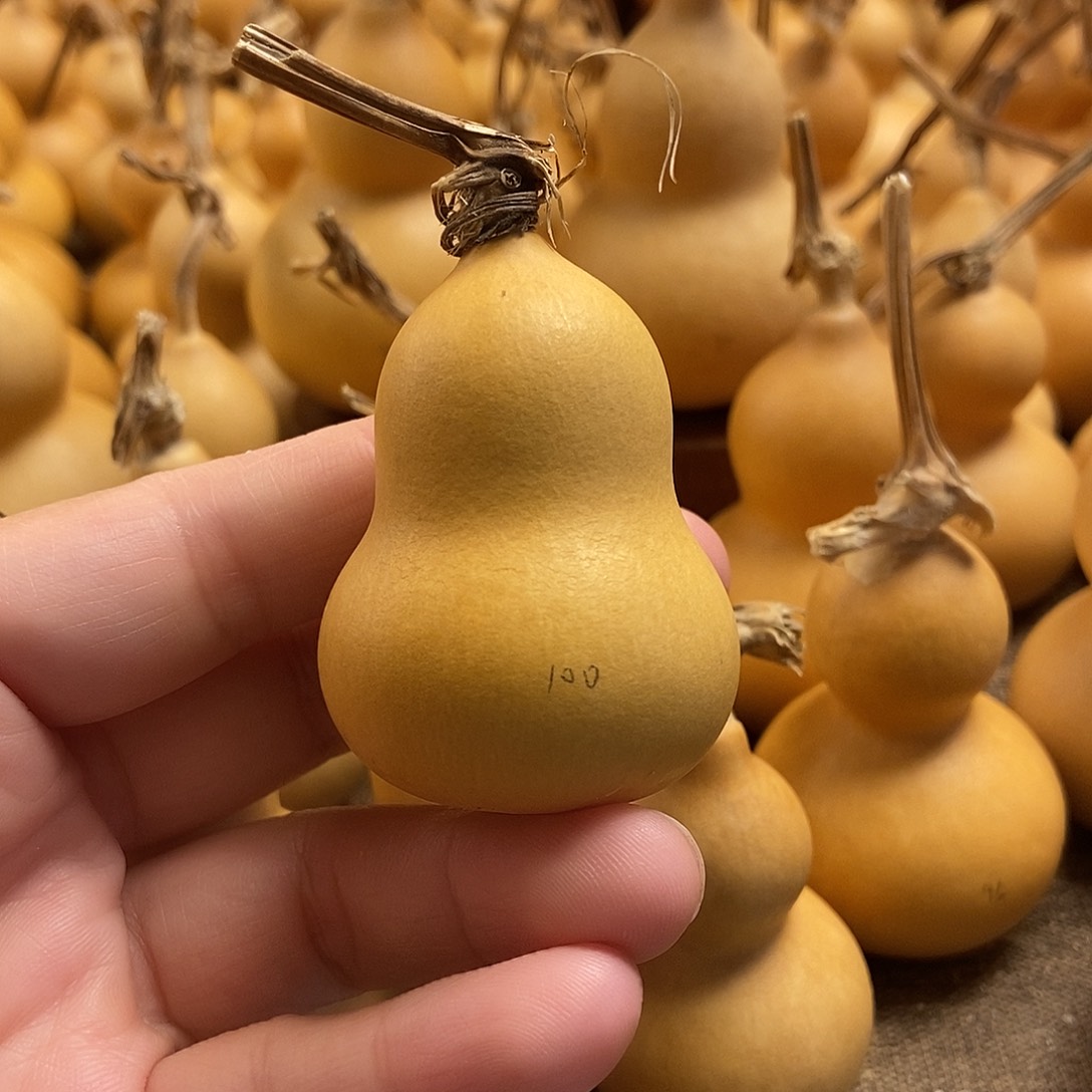 文玩葫芦 完美主义者 慎拍100
