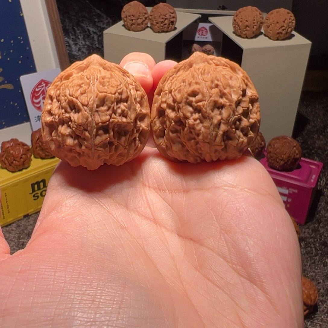 文玩核桃把件家***?承德四喜 1949 号 35 尺寸