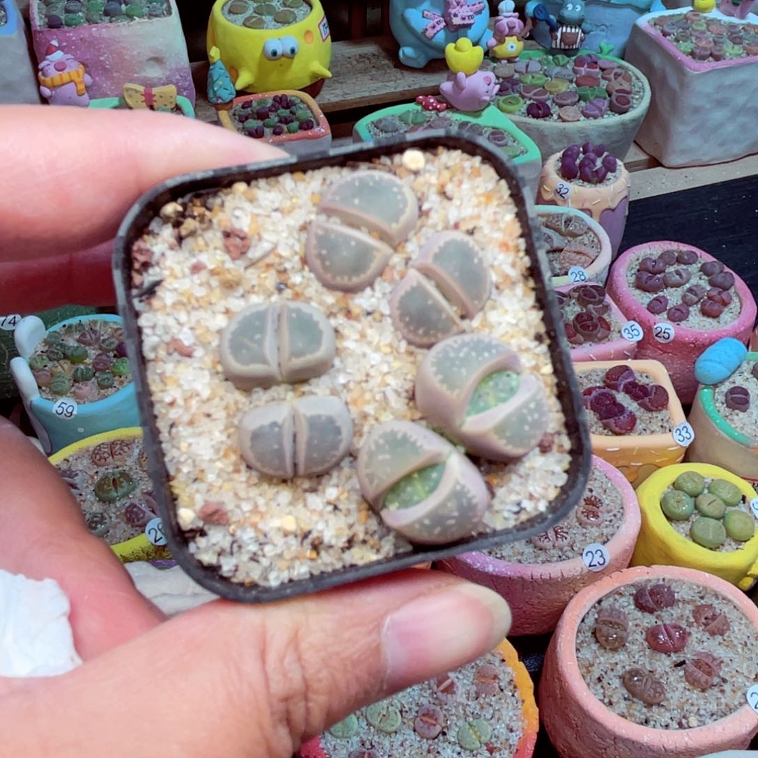 304。8888888888888888