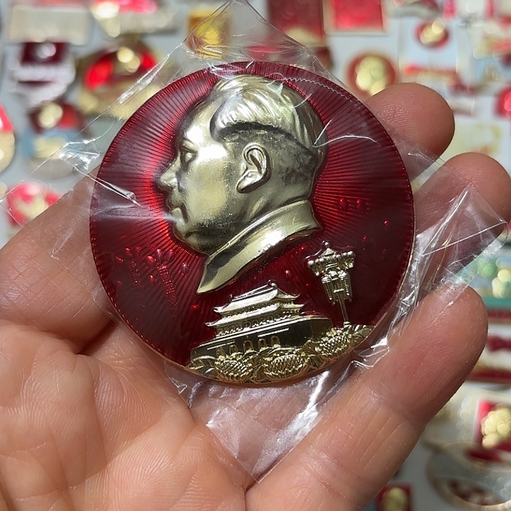 桓***江其他普通金属纪念章