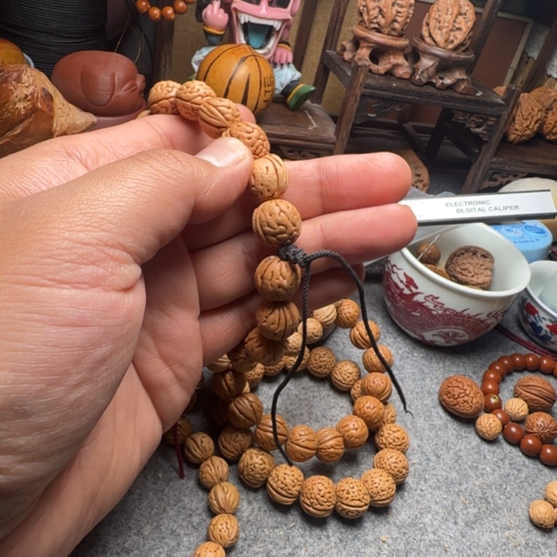 生****息2号大肠纹手持一条一条