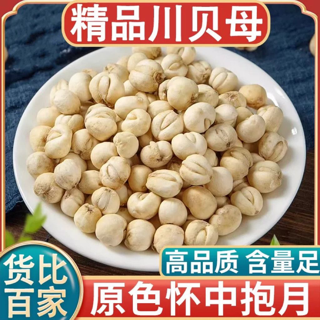 阿坝川贝母粒可磨粉煲汤搭配枸杞炖梨的天然贝母