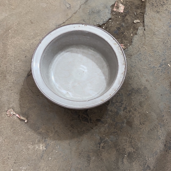 盘雅*堂恶意在我们哦哦勇武