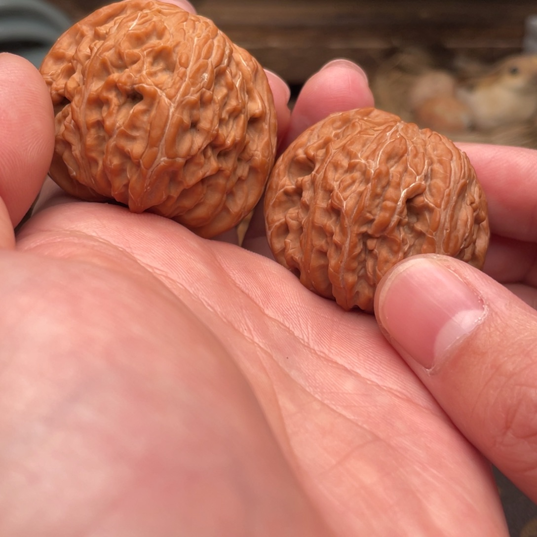 文玩核桃把件G4号41尺磨盘