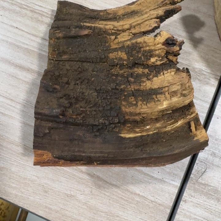 自***$柏木崖柏啊啊啊啊啊啊啊啊