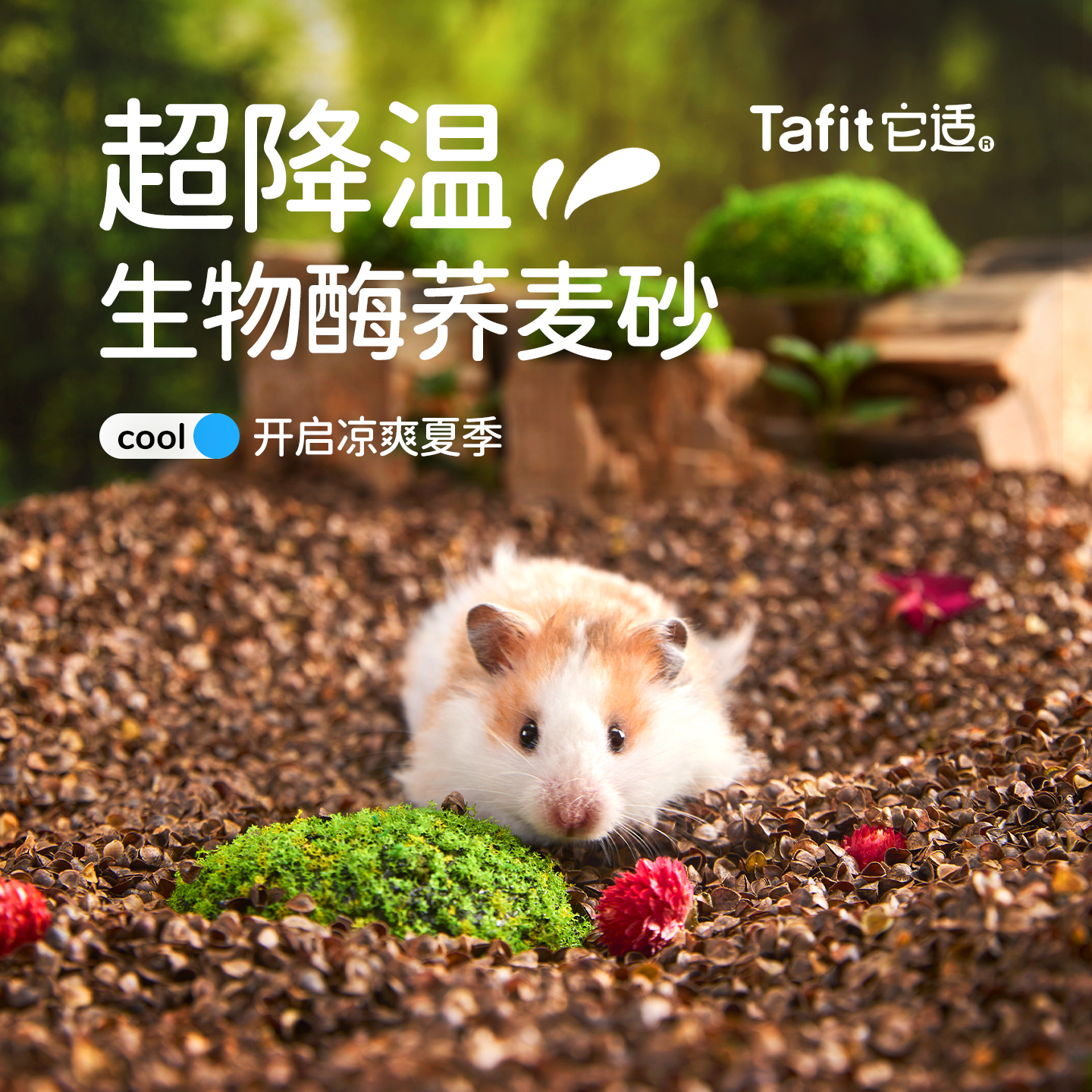 它适生物酶荞麦砂仓鼠垫料四季通用除臭透气木屑无尘挖掘沙金丝熊