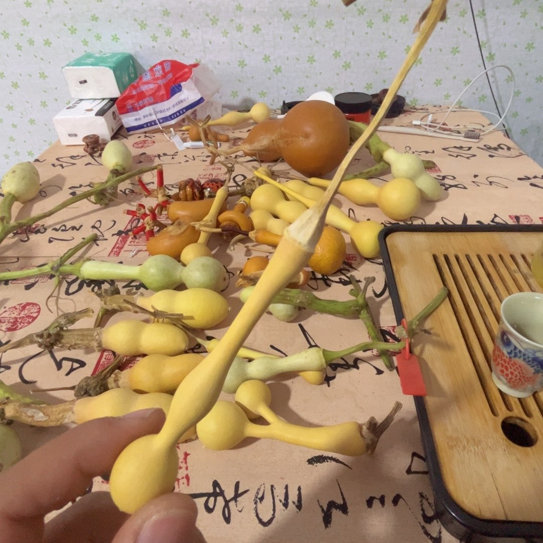 ****️文玩葫芦吊坠项链