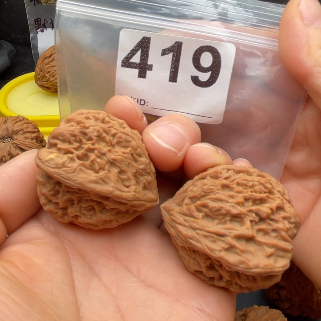 东***解文玩核桃把件南疆凹底对龟39