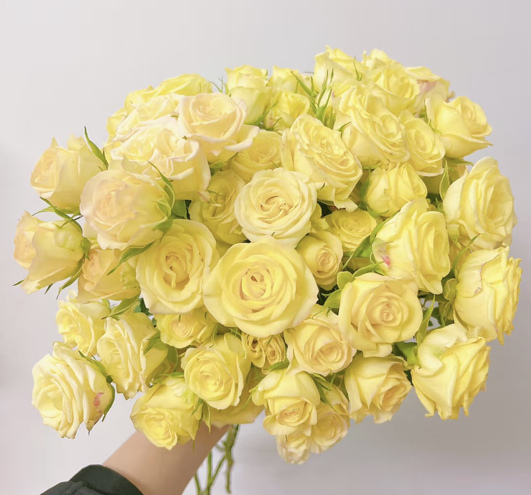 【10枝多头婚礼邀请】全场任意两单顺丰冷链包邮，0度以下必拍保温棉