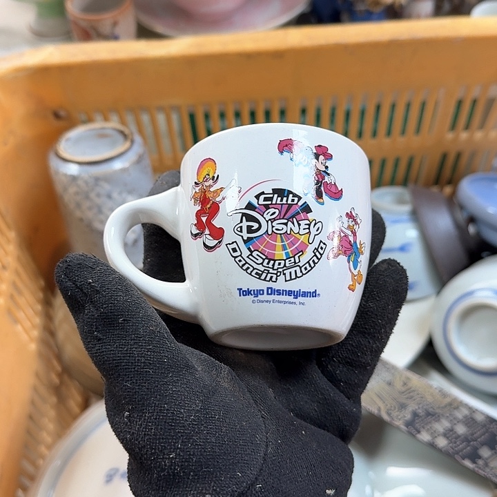 碟开播啦…开播啦