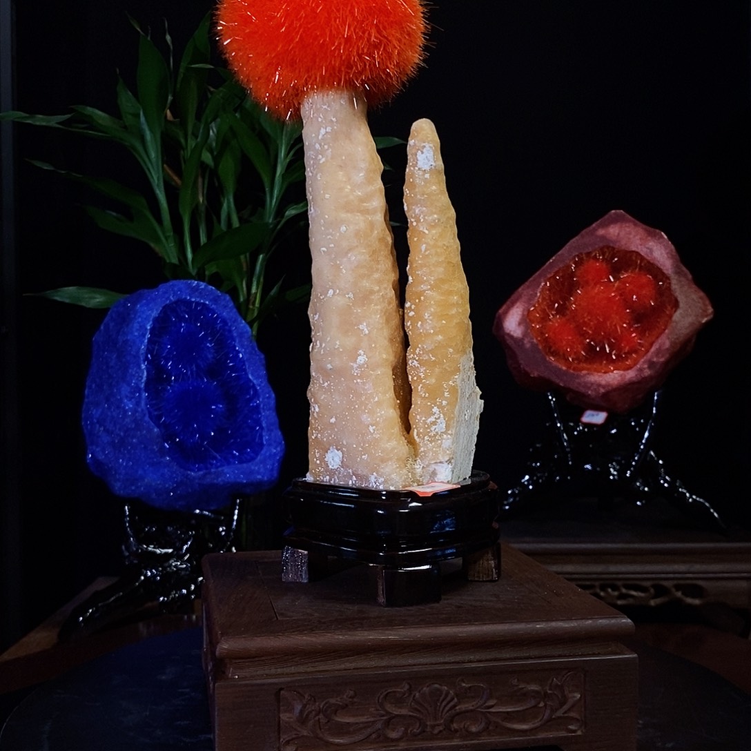 退***朵石头漂亮漂亮好看漂亮