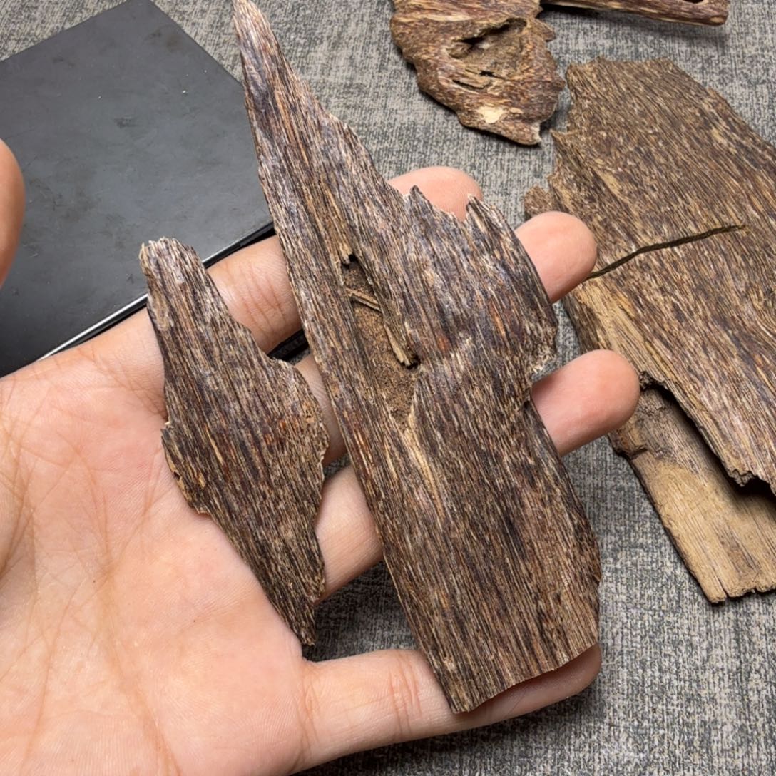 香榧木海南大山树心14克