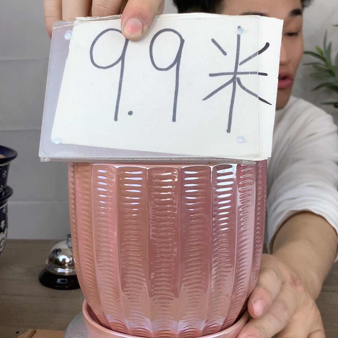 陶瓷电镀粉工艺花盆