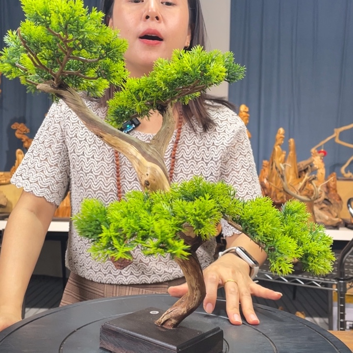 柏木（崖柏）迎客松