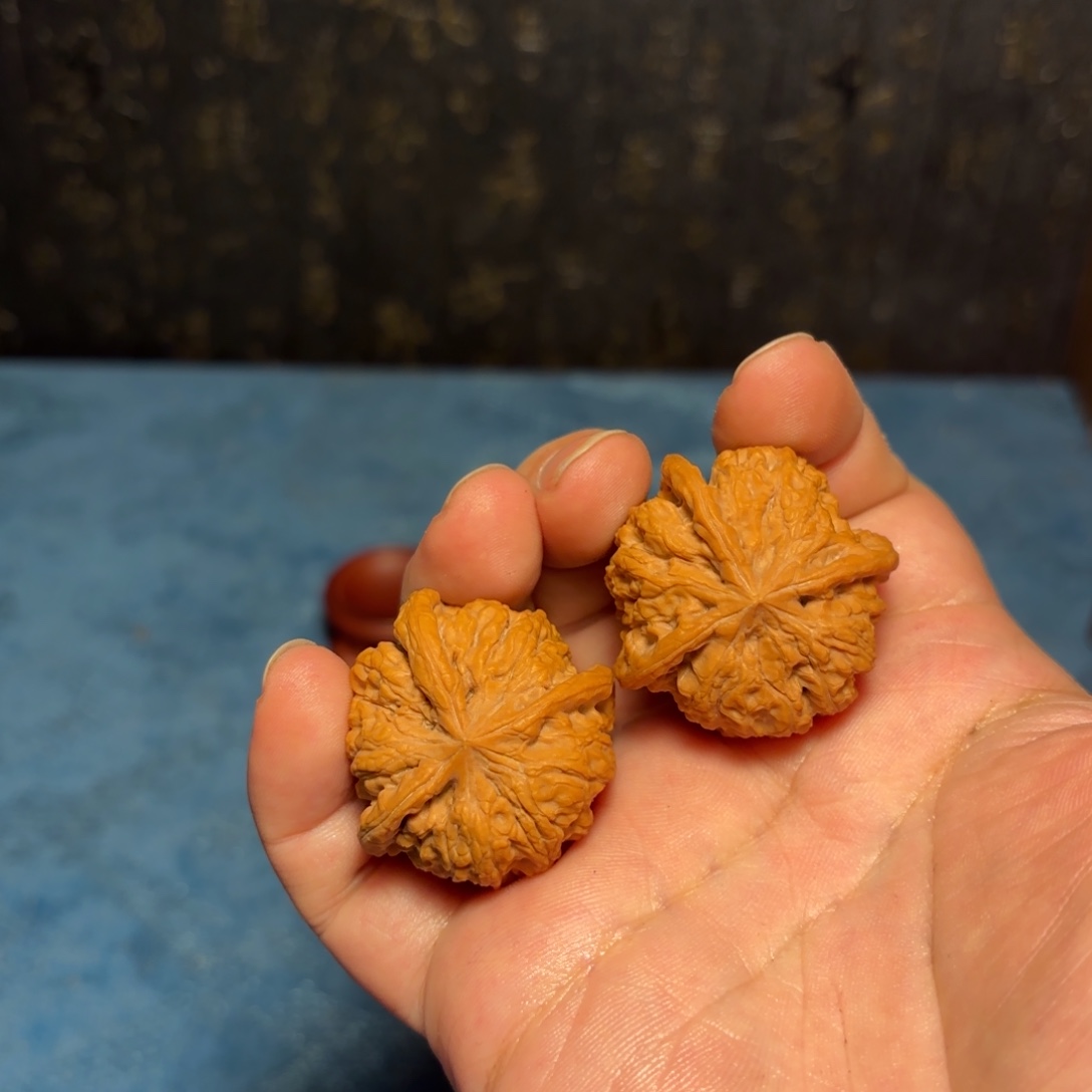 风***。大叶紫檀（黑酸枝木类）