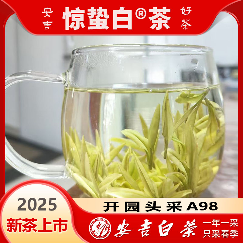 【2025新茶A78】安吉白茶肥芽高山茶兰花香安吉新茶