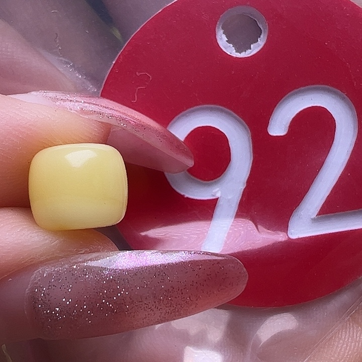 未镶嵌蜜蜡裸石C***é8mm老型