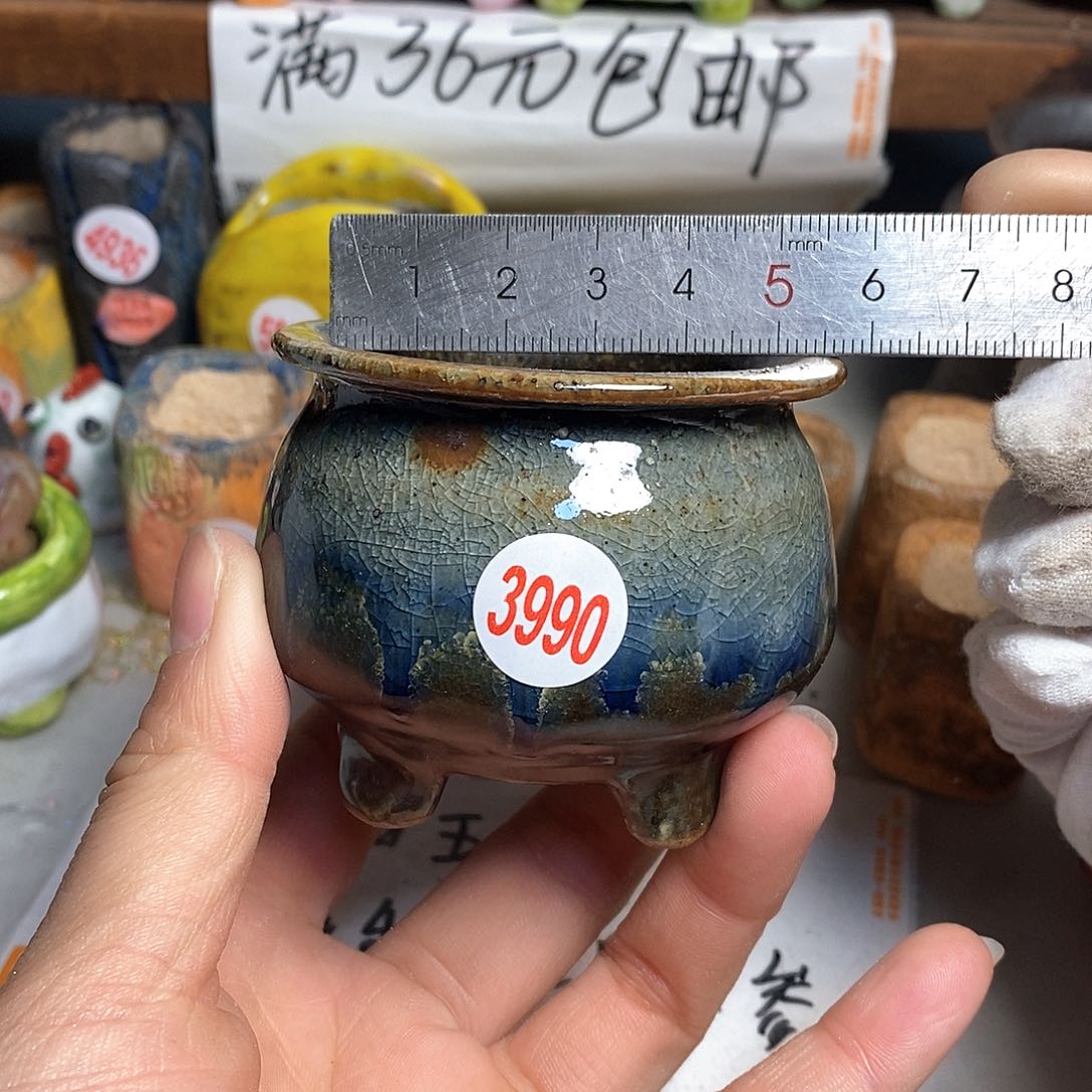 红陶拍5送一个小