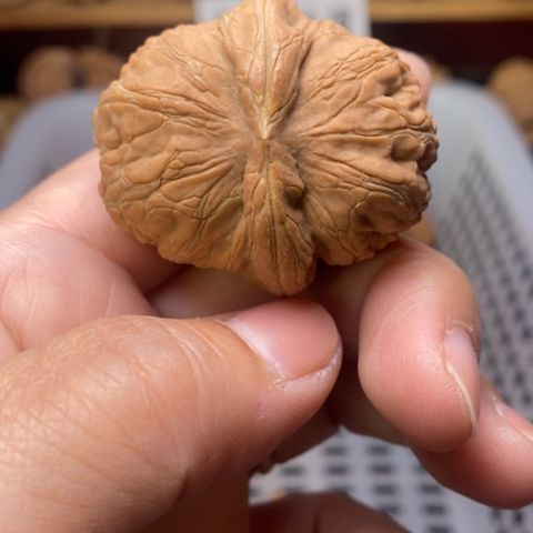 *****把件文玩核桃核桃