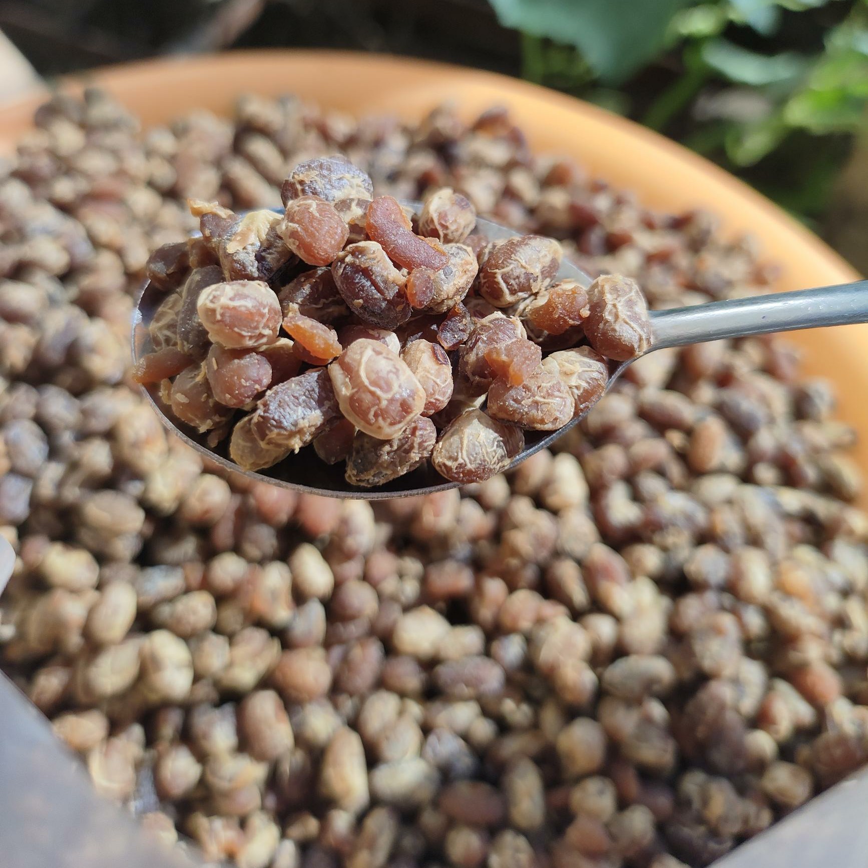 【顺丰包邮】湖南新宁特产传统风味干黄豆豉1斤 2斤