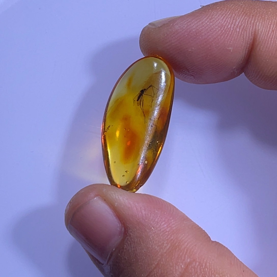 琥珀未镶嵌裸石特价虫珀