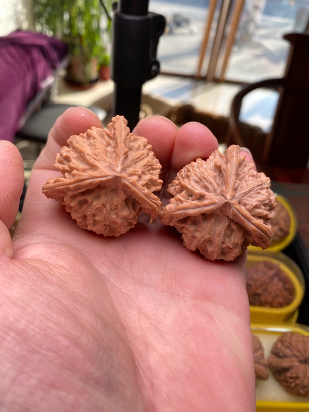 文玩核桃狮子头盘山三棱全品无修