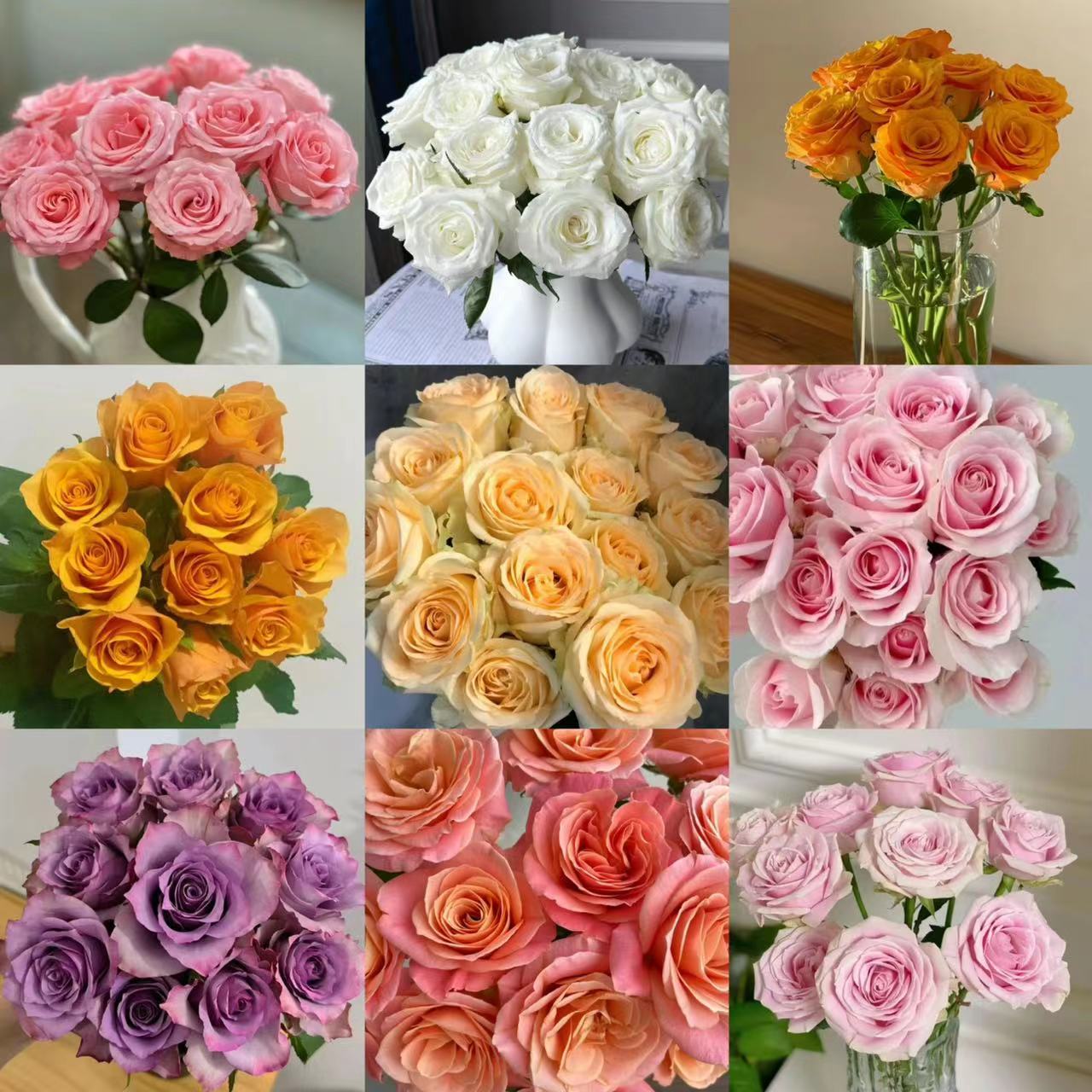 不选品鲜花 两单以上包邮