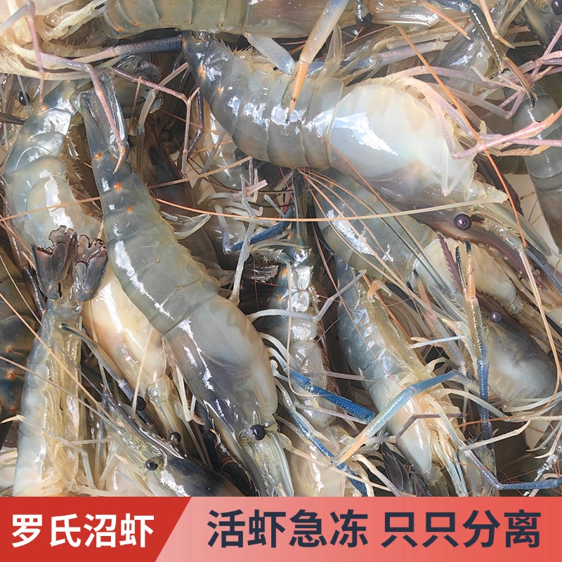淡水大虾 3斤鲜活速冻液氮锁鲜罗氏沼虾一斤大约12/18只顺丰包邮