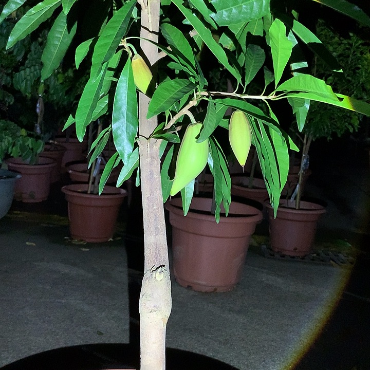 宏***达345688423567964356886445