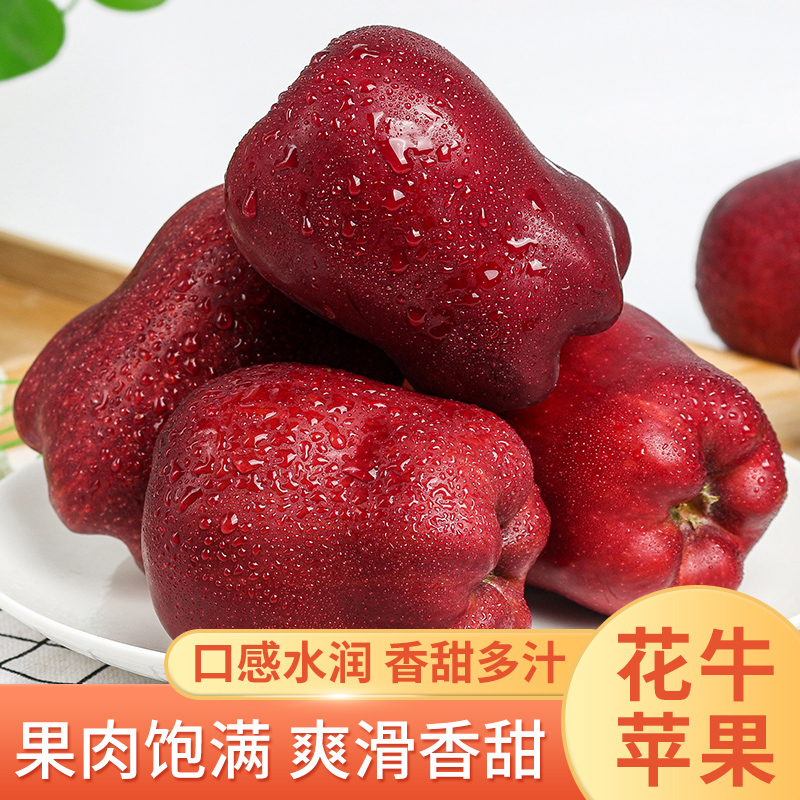 甘肃天水花牛苹果新鲜水果蛇果当季新鲜脆甜丑苹果整箱装产地直发
