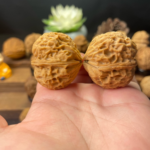 37尺寸 龙纹元宝（云南铁核桃一物一图产地直发）