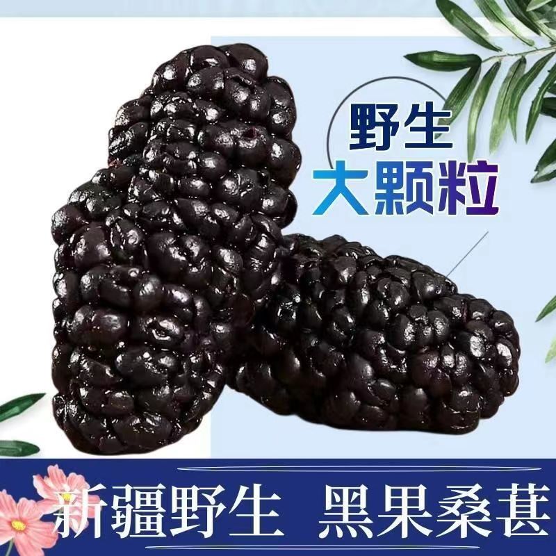 25年新疆特产头茬桑葚干大果500g原产地直发包邮