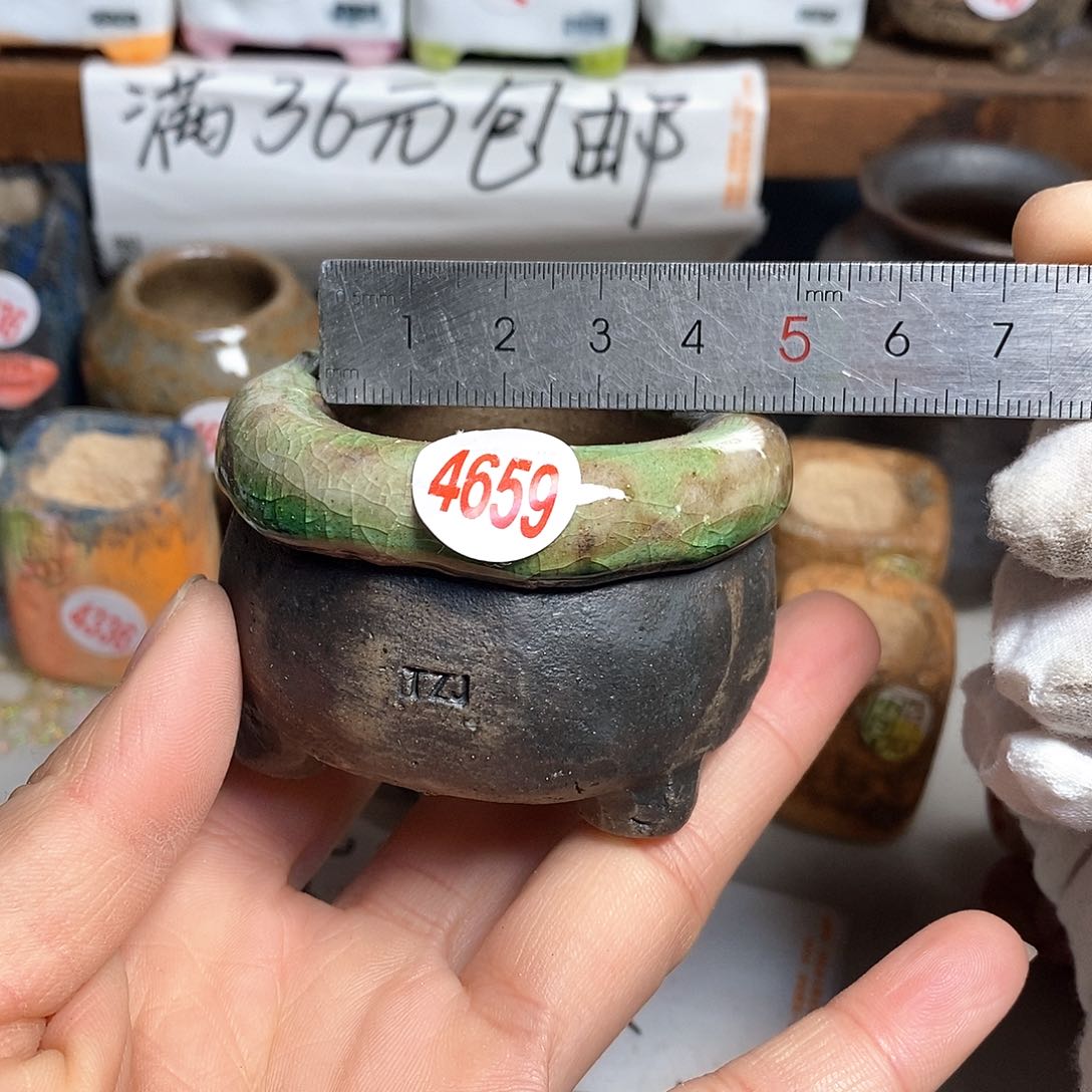 红陶拍5送一个小