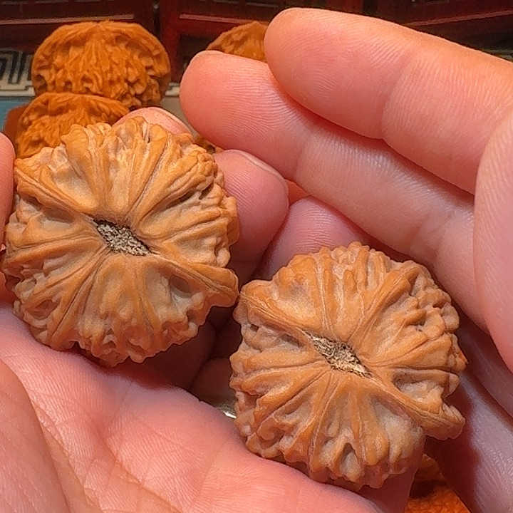 逍*遥天地尺寸42全品