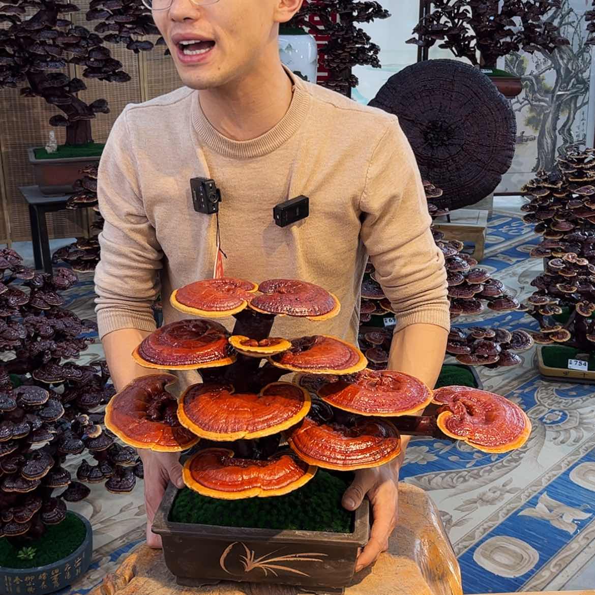 【闪购商品】88888