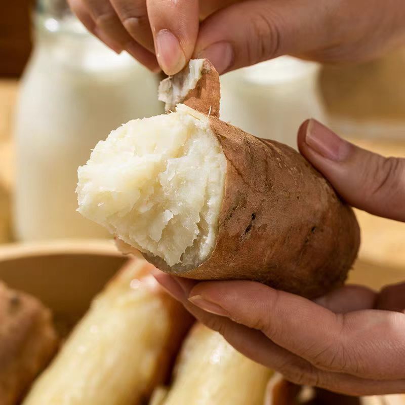 2025新鲜哈密冰糖心白薯番薯地瓜农家自种蜜薯壤白如玉软糯香甜