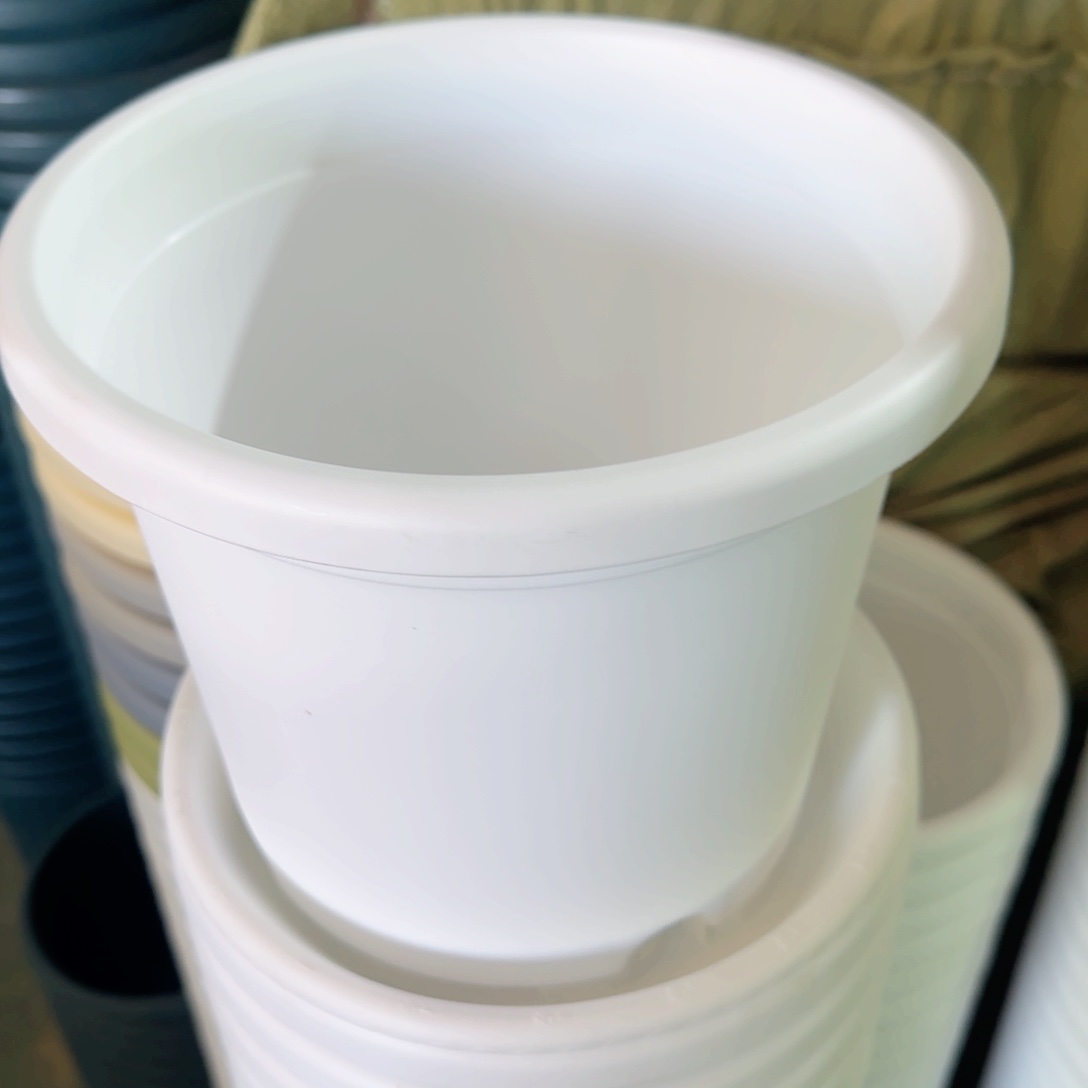 树脂四季3#无拖纯白10个