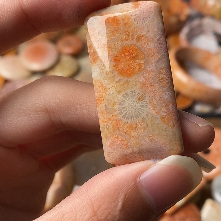 y***l硅化珊瑚未镶嵌颈饰