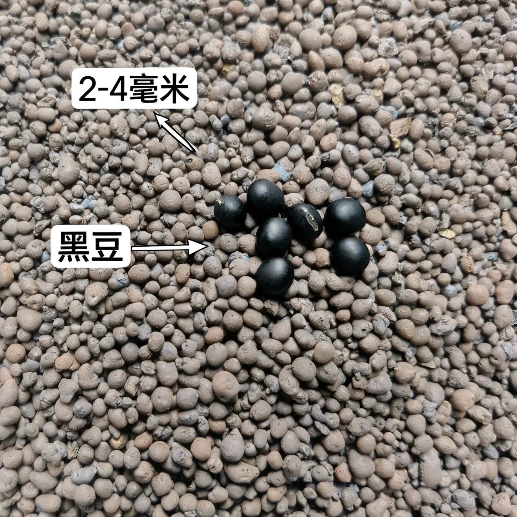 透气陶粒养花盆栽专用垫底铺面石
