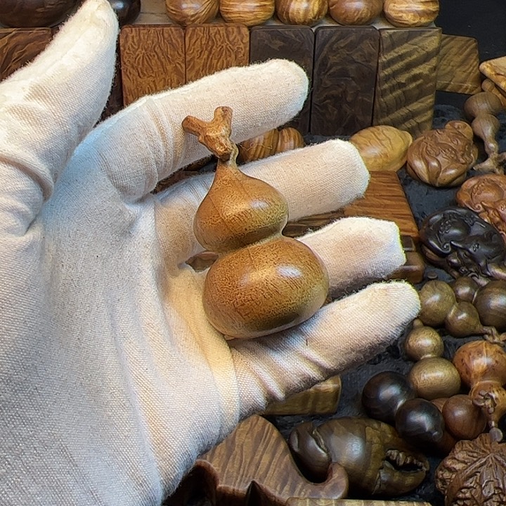 楠木金丝楠木小叶