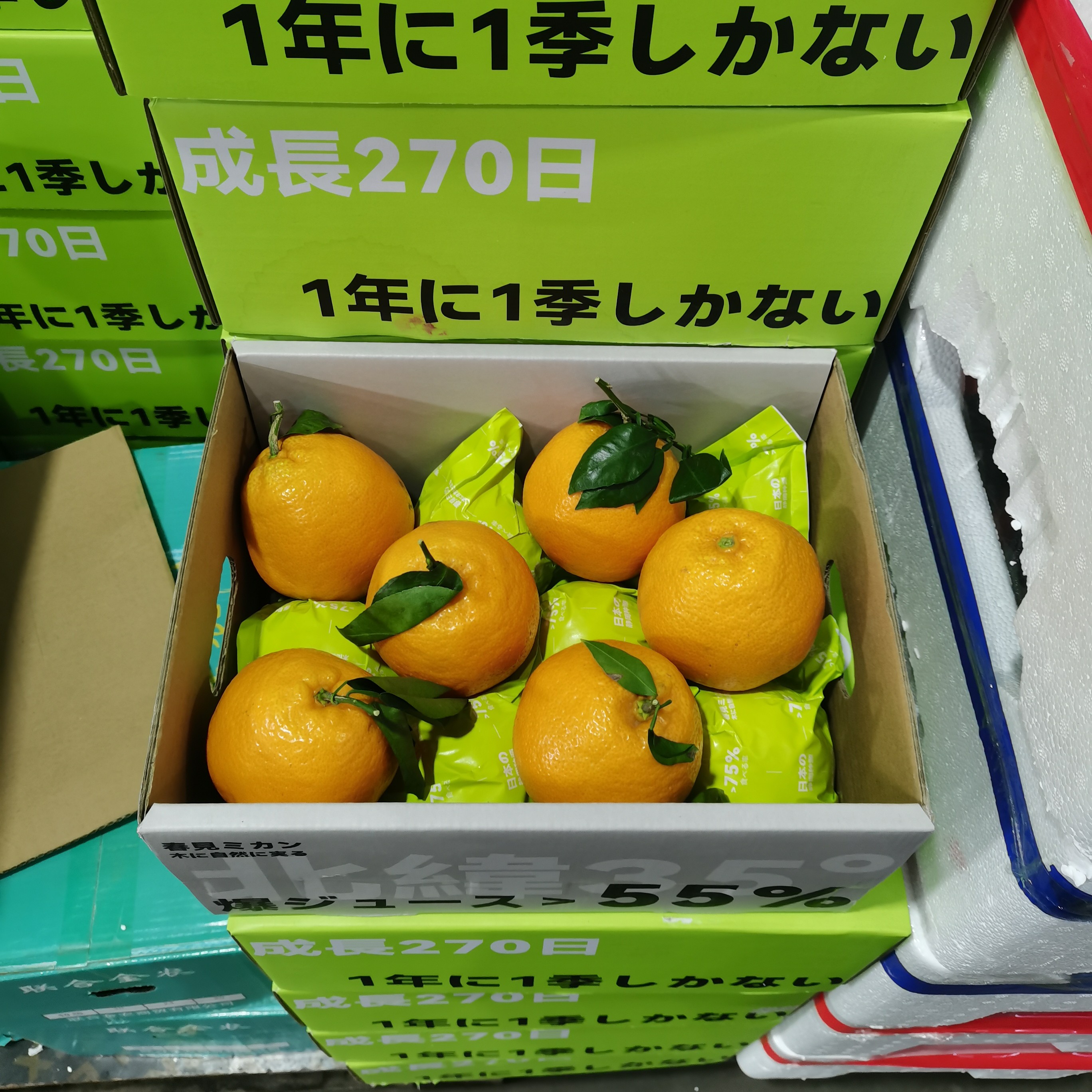 白富美，毛重约8.6斤，12个果