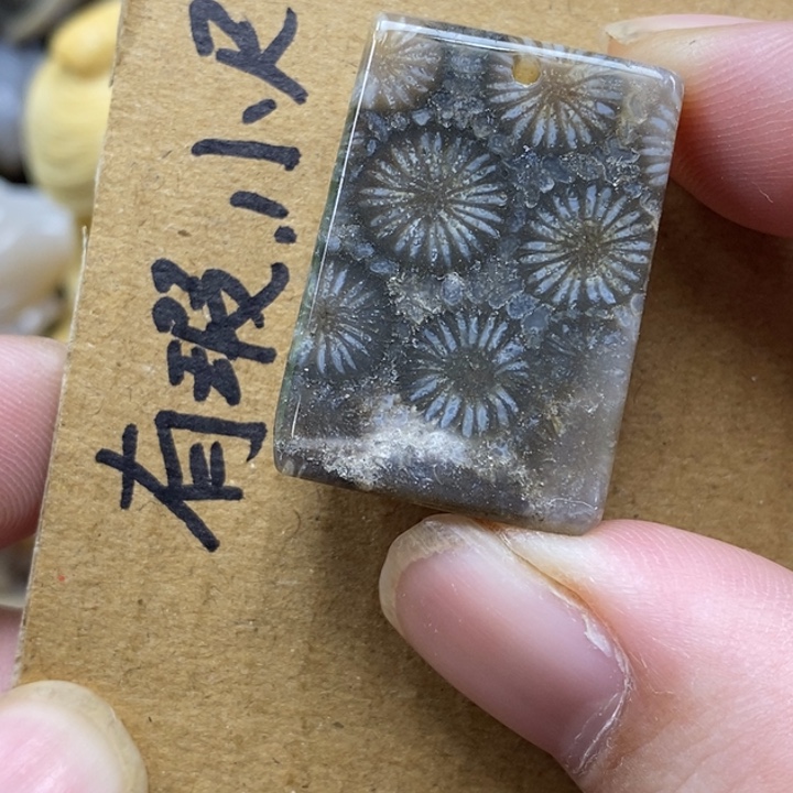 硅化珊瑚（珊瑚玉）未镶嵌颈饰