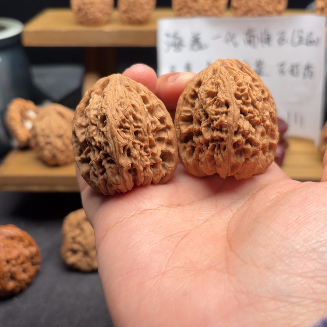启***航核桃涿鹿南疆一代
