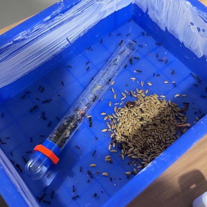 蚂蚁工坊大头收获百工