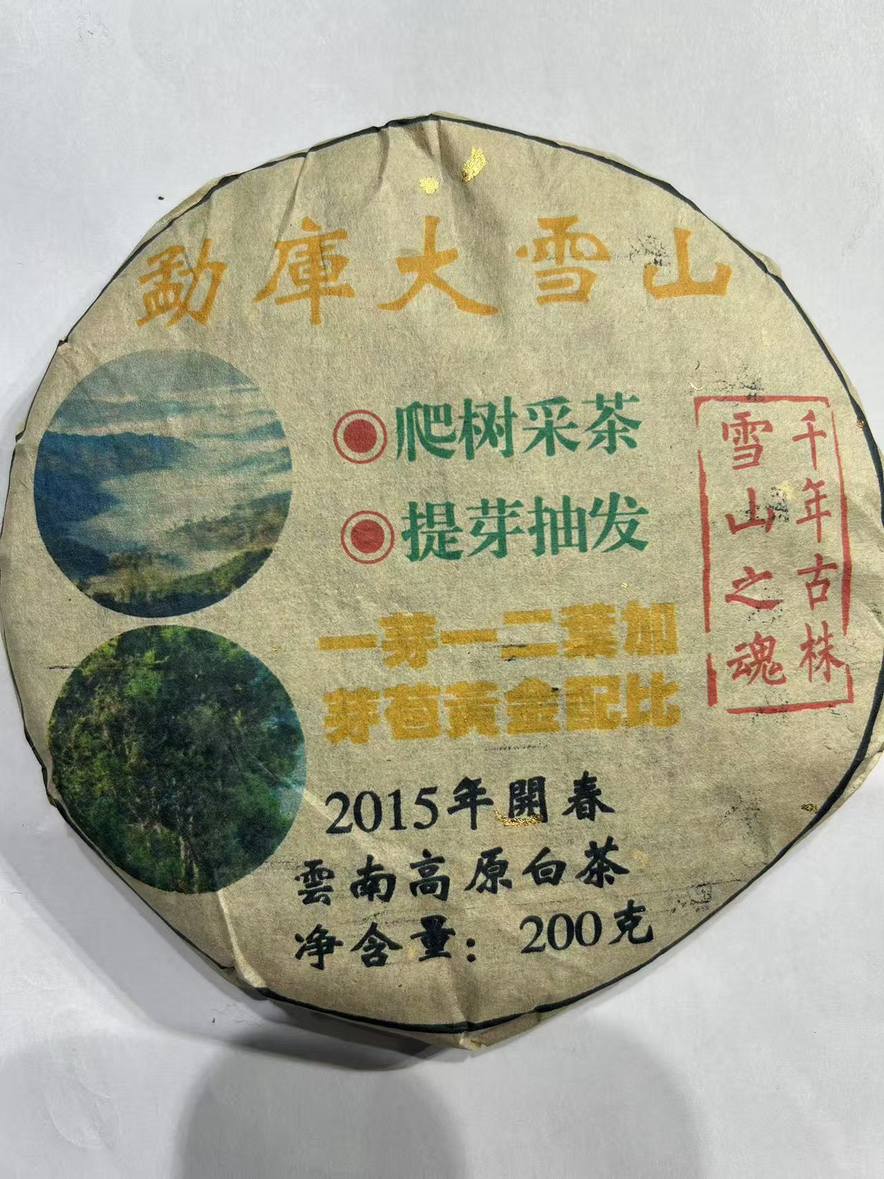 普洱茶  勐库大雪山 7月5日   白茶 饼茶