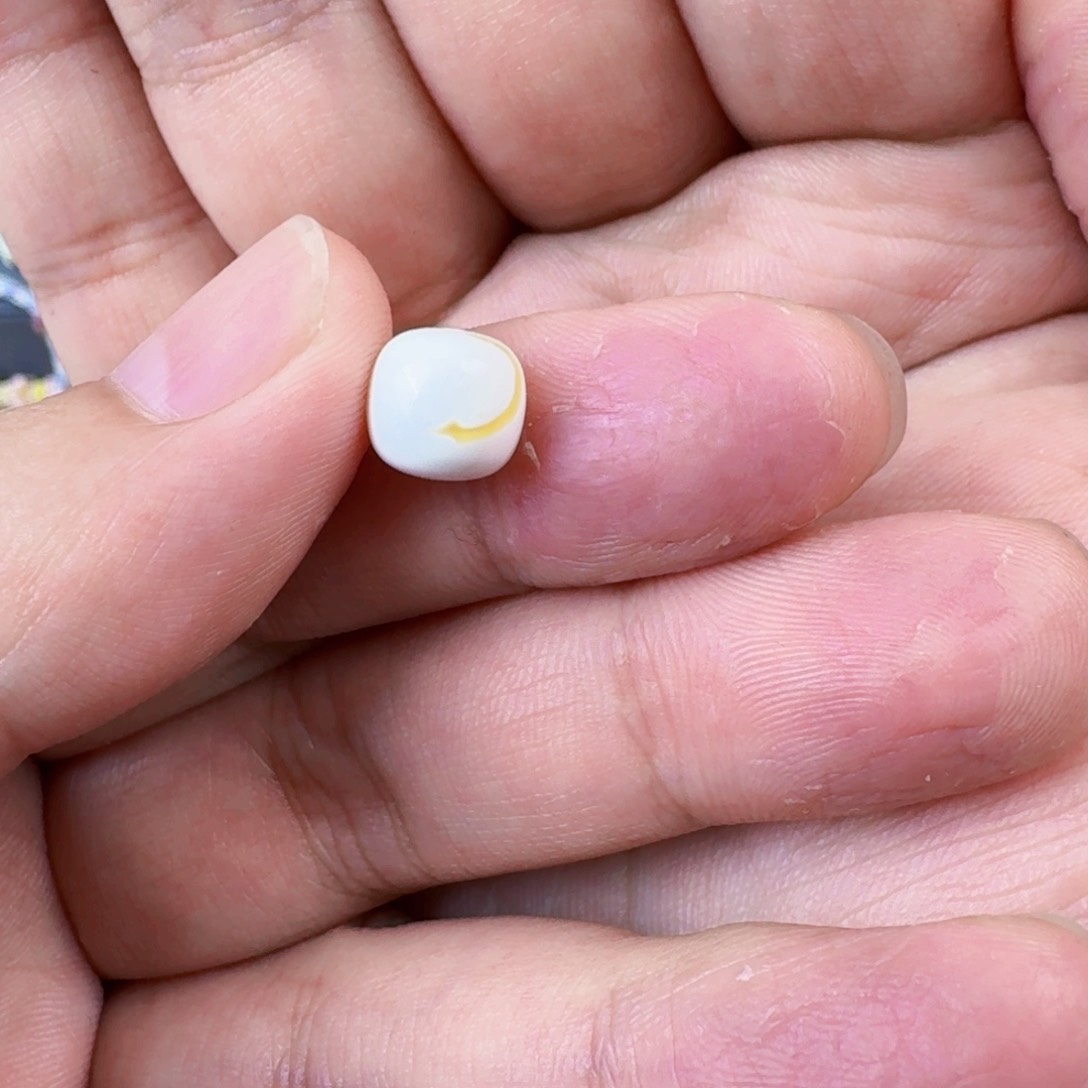 琥珀珠宝奇石未镶嵌白*