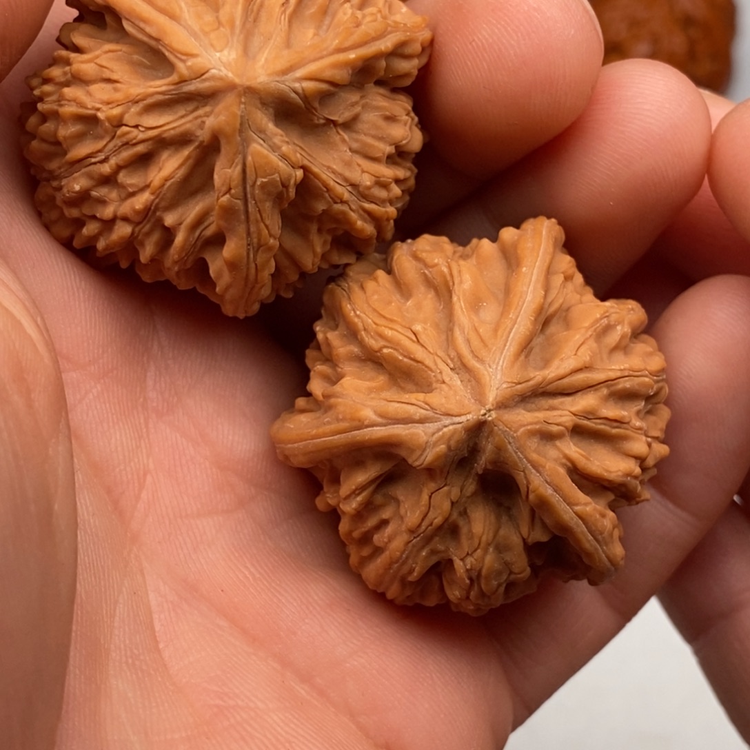 文玩核桃把件38三棱